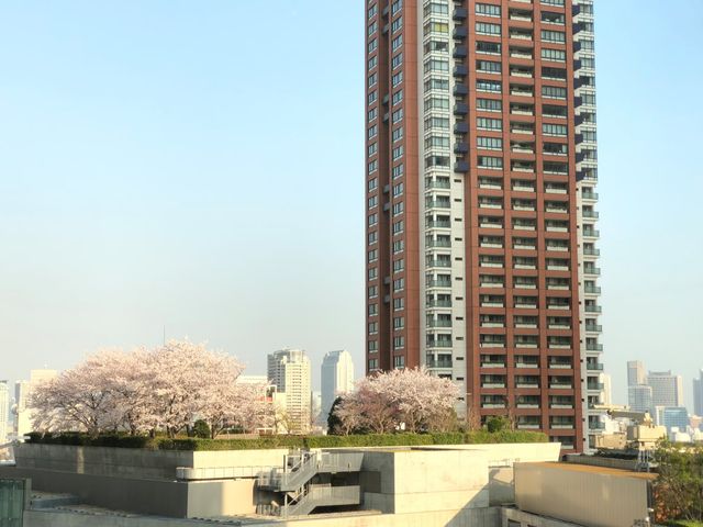 東京六本木｜君悅酒店，都市中的奢華綠洲   酒店：東京君悅酒店  地址：106-0032 東京