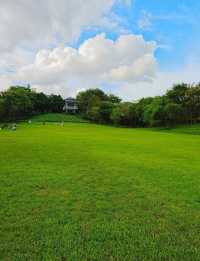 深圳大沙河公園漫遊指南｜都市綠肺裡的全齡段治癒之旅