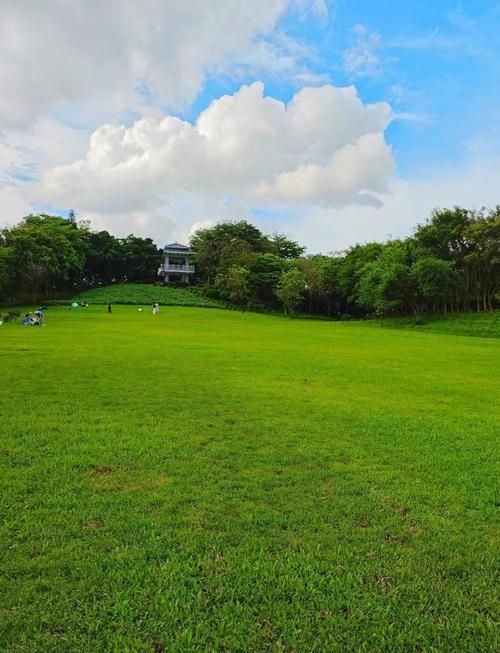 深圳大沙河公園漫遊指南｜都市綠肺裡的全齡段治癒之旅