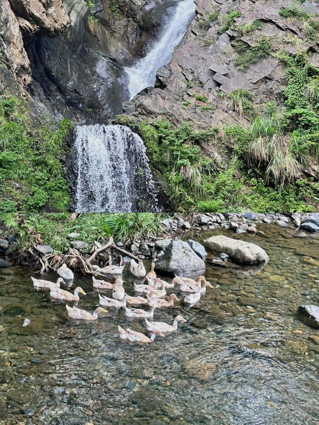 石台旅行速覽！高效遊玩指南！