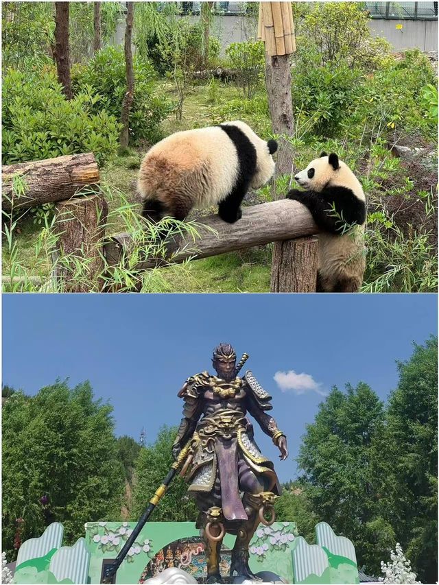 學生黨窮遊必睇！呢5個城市好玩到跺腳