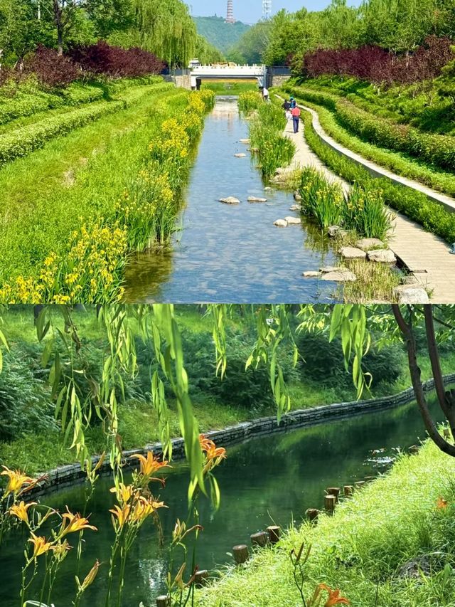山景房！北塢公園，滿眼風光！