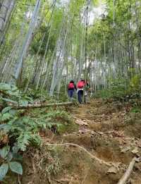 雞枕山：花崗岩森林嘅階梯呼吸術