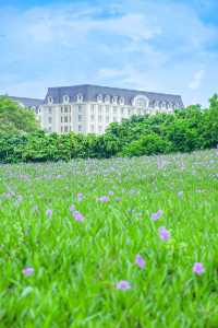唔係歐洲，東莞最美歐洲小鎮一日遊