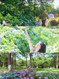 揚州，住進繡球花海同森林包圍嘅莊園