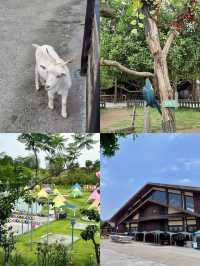黃龍溪歡樂田園：闖入童話裡的四季牧歌