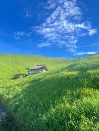 最近武功山又火咗，唔知你哋有冇去過呢