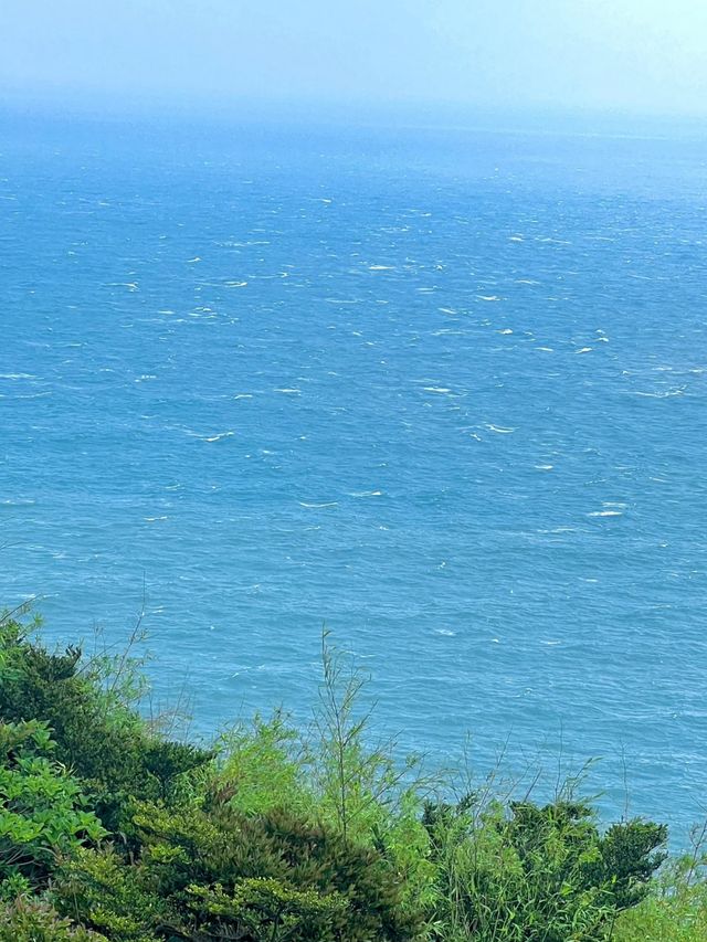 東極島這場藍眼淚盛宴，治好了我的都市色盲症！