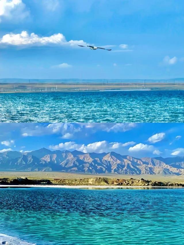 6-8月青海湖！避暑旅行之選