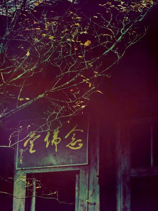 四川邛崍隱世秘境：興福寺的古韻禪意】**  