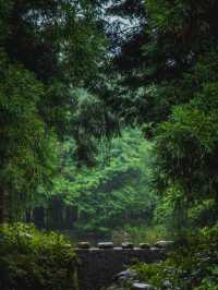 Jinhua Summer Resort