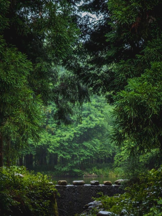 Jinhua Summer Resort