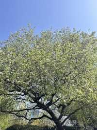 藏喺市中心公園嘅一尺花園，四季窗外景與周邊遊玩全攻略