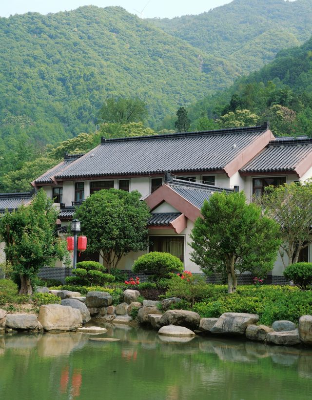 金寨深山現民宿，傳統徽派遇現代客，遊客評價褒貶不一？