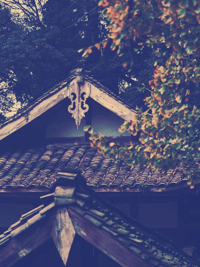 四川邛崃兴福寺の魅力ある旅