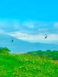 北海道唔單止有滑雪，夏天嘅北海道都靚到咁啊