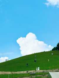 宜昌「小阿勒泰」嘅夏日童話！