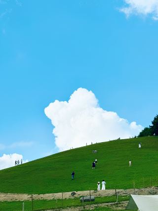 Yichang's "Little Altay" Summer Fairy Tale!