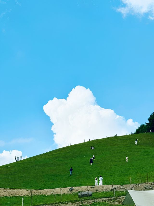 宜昌「小阿勒泰」嘅夏日童話！