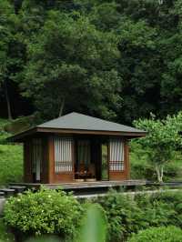 住進森林秘境，邂逅寧靜生活|青城山無境山居