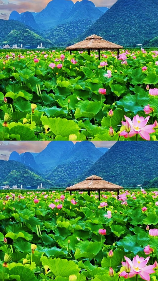 我就係咁樣過夏天 雲南治癒系旅行攻略