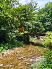 寧波秘境虹嶺古道·綠野仙蹤般的溯溪天堂
