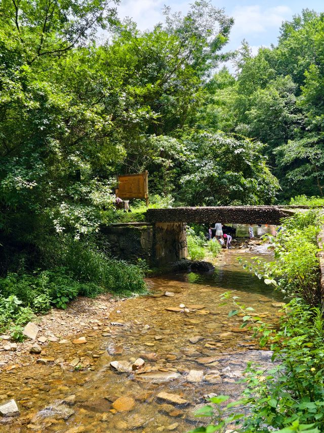 寧波秘境虹嶺古道·綠野仙蹤般的溯溪天堂