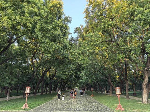 天壇夏暮：槐花紫薇共舞的時光
