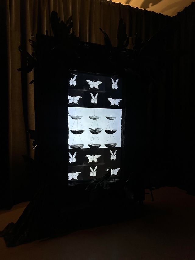 上海新展