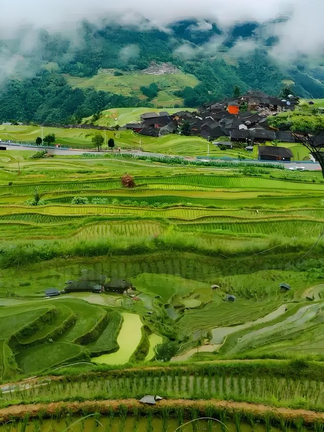 加榜梯田漫遊：在層層綠意裡拾光而行 