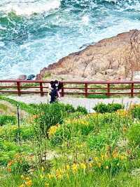 10月青島必打卡燕兒島木棧道錯峰拍照首選！