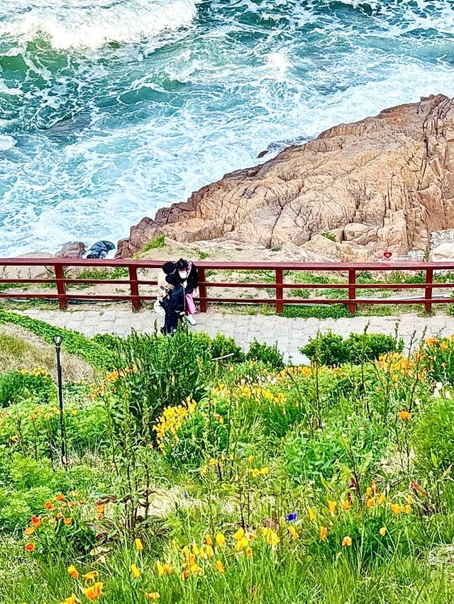 10月青島必打卡燕兒島木棧道錯峰拍照首選！