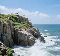 雞鳴島