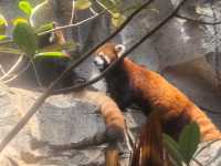 南京暴走日記｜CCD濾鏡下嘅金陵盛夏真係絕絕子！