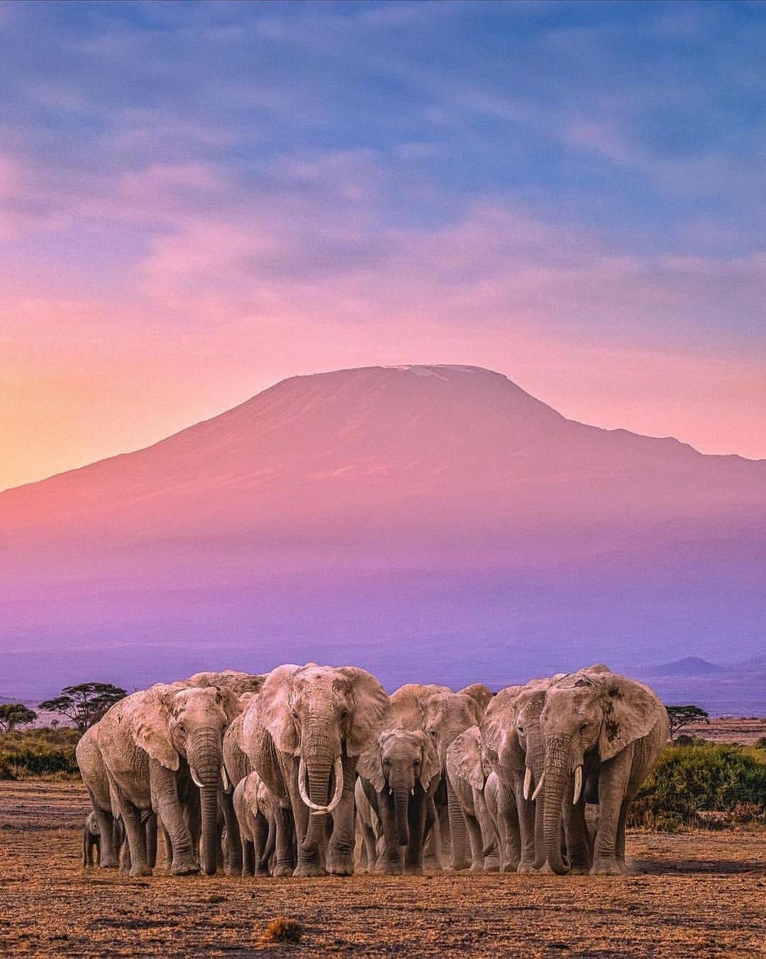 Chuyến du lịch kép Tanzania + Uganda: Đẹp đến mức bạn không thể ngủ được