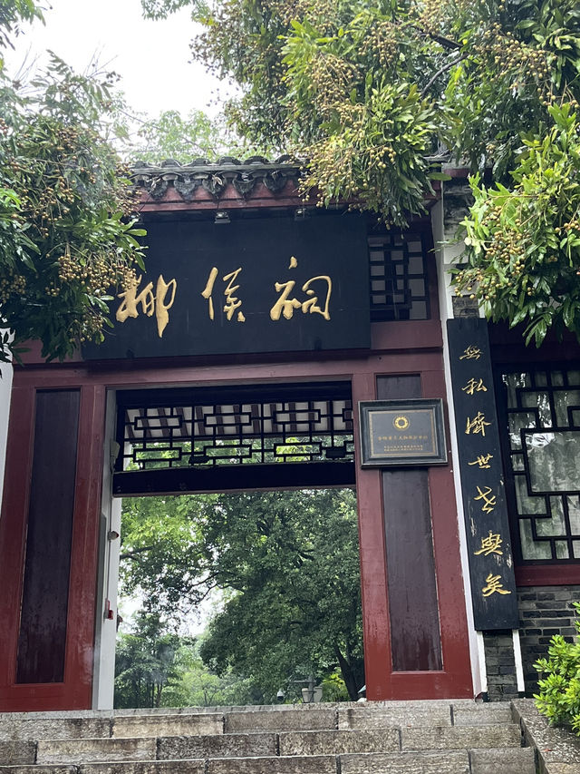 🌧️ 柳州人才懂的雨天浪漫！柳侯公園餵魚賞雨秘境大公開