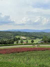 暑假親子遊|彌勒太平湖森林公園(附攻略)