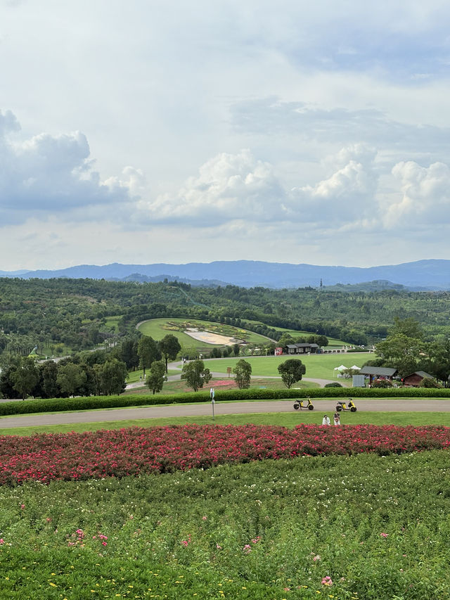 暑假親子遊|彌勒太平湖森林公園(附攻略) 暑假親子遊|彌勒太平湖森林公園(附攻略)