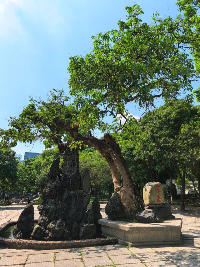 福州旅行|呢間酒店我逢人就推介! 福州旅行|呢間酒店我逢人就推介!