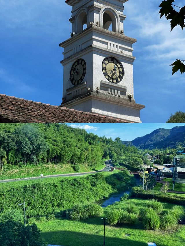 莫干山隱藏玩法大公開！避開人潮獨享整片竹海嘅神仙攻略