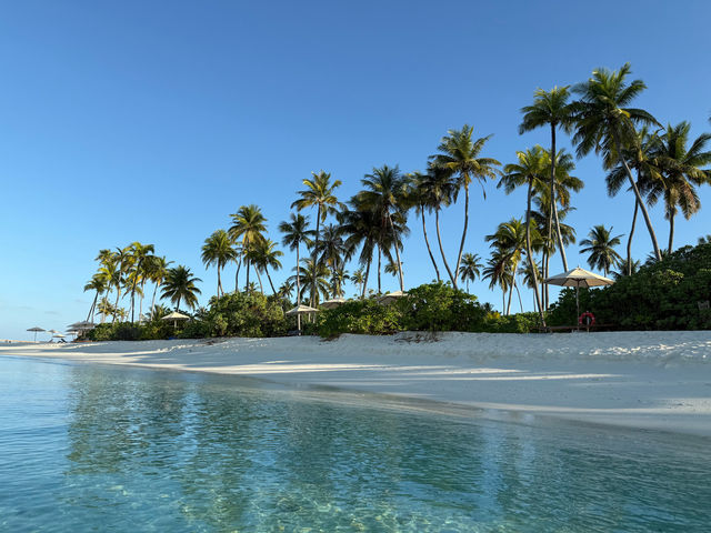 A Paradise Island Experience A Paradise Island Experience
