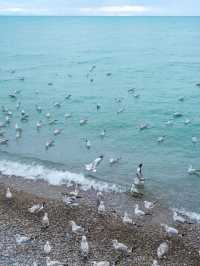 青海湖秘境解鎖