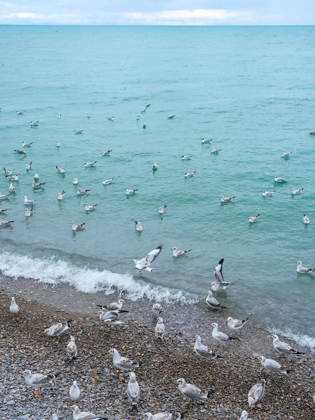 青海湖秘境解鎖