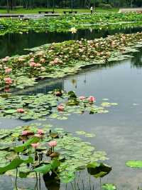 風影隨行，世博文化公園的呢喃
