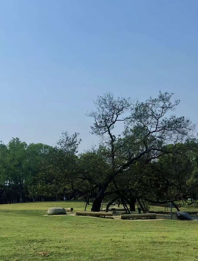 初秋一齊去成都植物園玩啦! 初秋一齊去成都植物園玩啦!