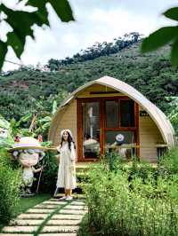 就在廣東信宜住進森林樹屋，天然氧吧！