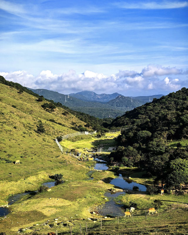 大姆山窮遊全攻略