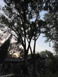 山西旅遊必打卡！百年晉農大絕美民國校園