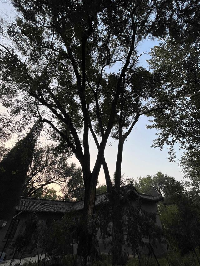 山西旅遊必打卡！百年晉農大絕美民國校園