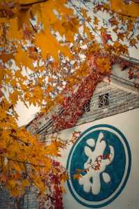 古北水鎮｜秋日限定紅葉盛宴！夜遊長城美到窒息